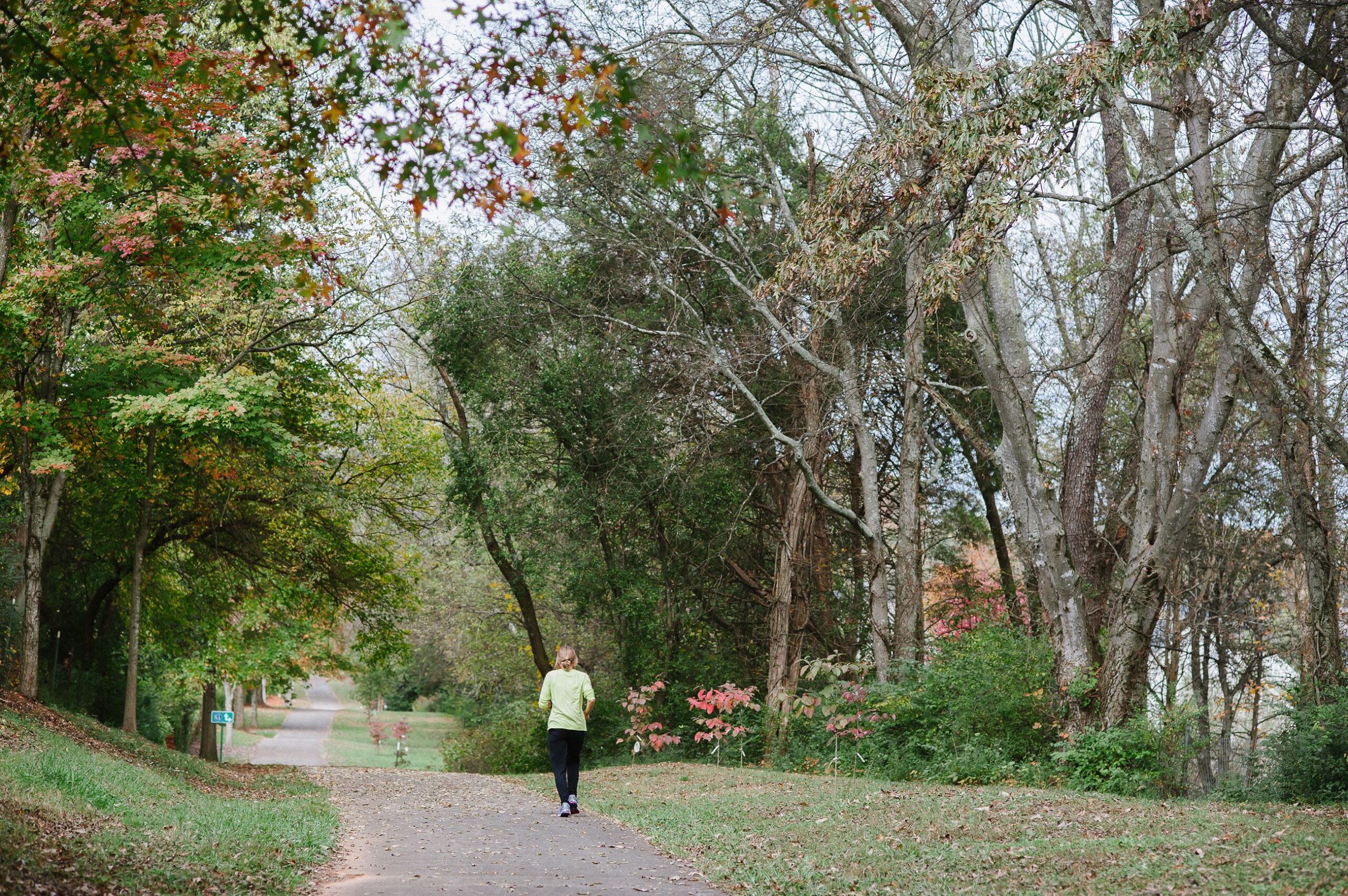 Person walking on Greenway Trail in Farragut
