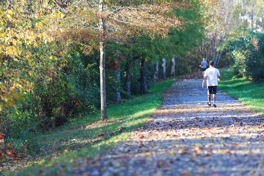 Fall Trees people walking on greenway in Farragut TN