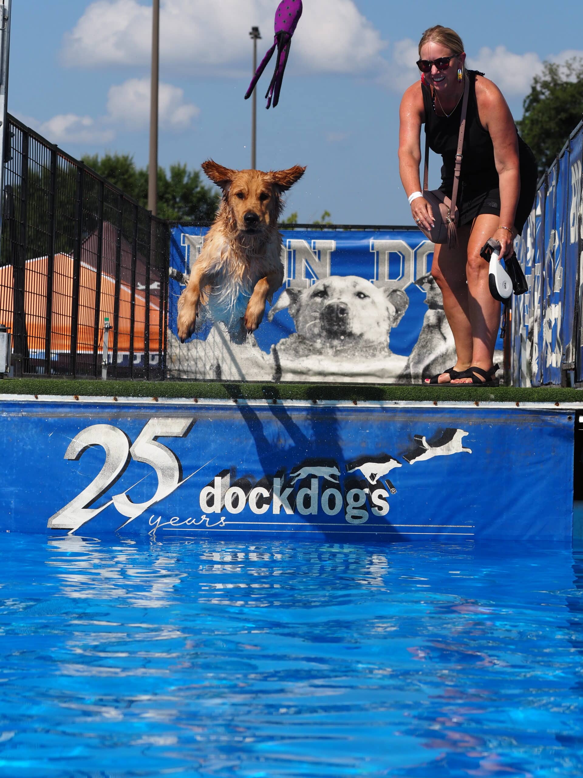 Dog competition at Dog Daze Festival in Farragut