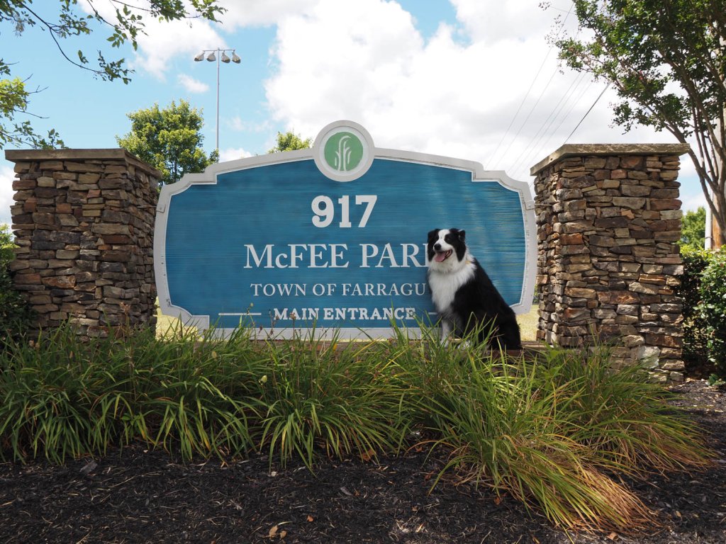 Photo of dog posing next to McFee Park sign in Farragut