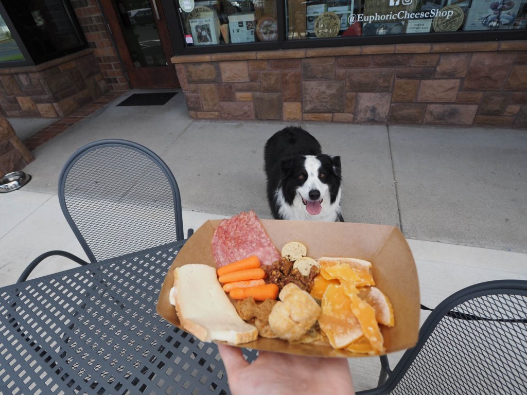 Photo of a dog charcuterie board at Sparrow Wine Bar