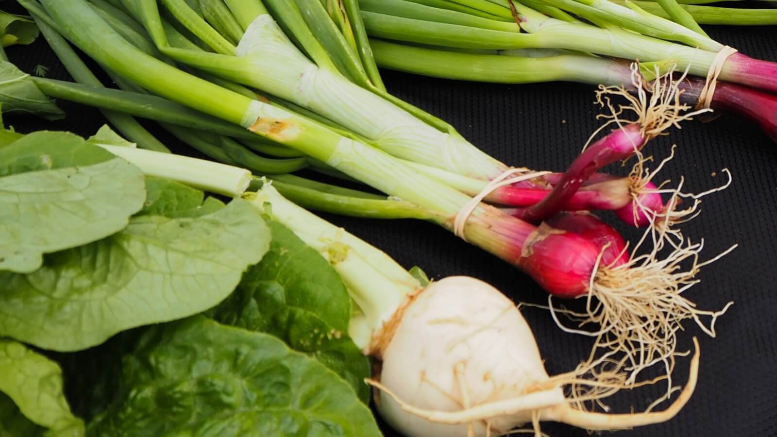 Fresh produce from a Farragut Farmers Market