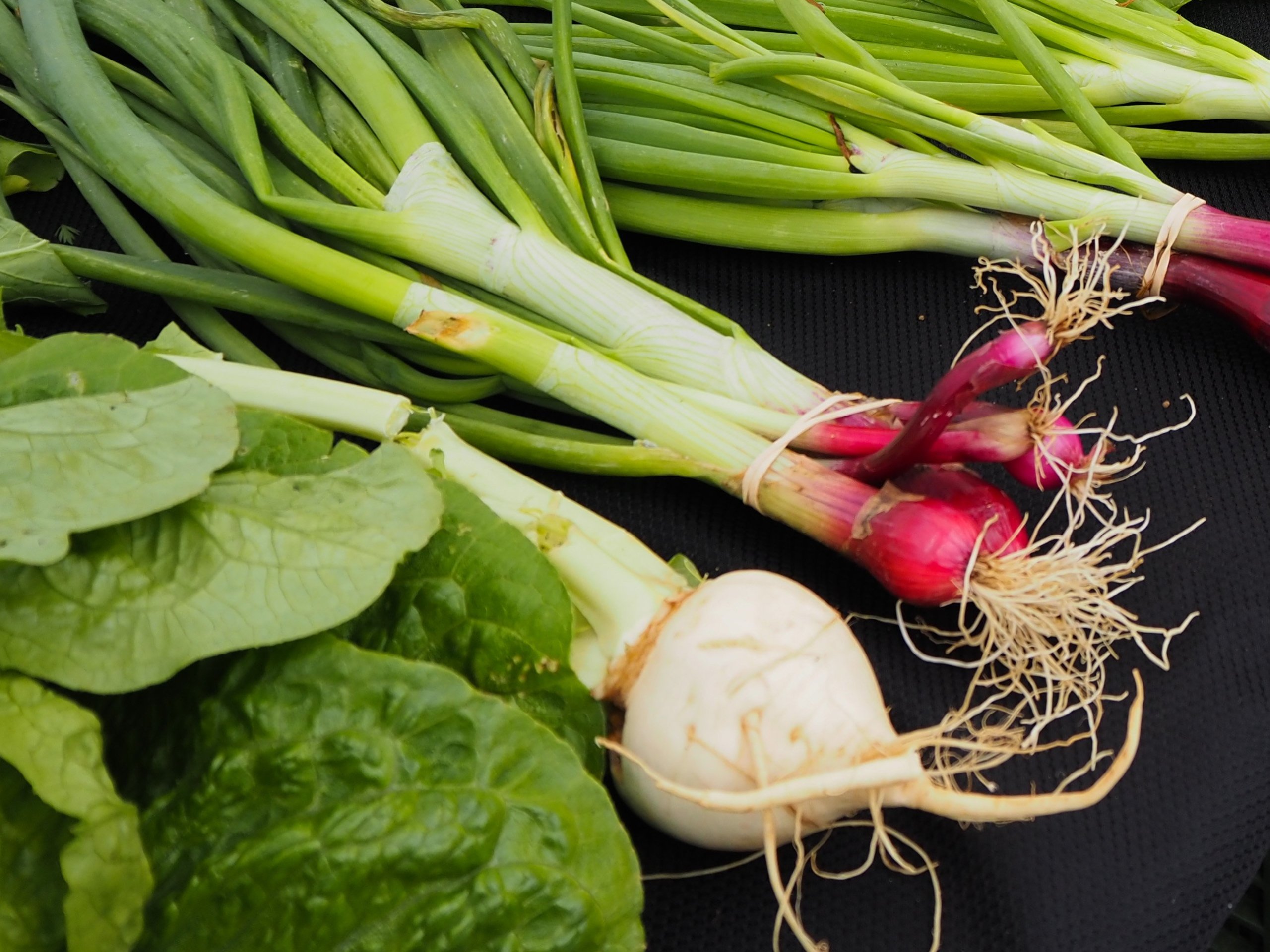 healthy fresh produce from a Farragut Farmers Market