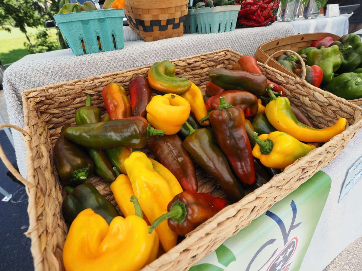 Fresh peppers from Dixie Lee Farmers Market, a budget-friendly thing to do in Farragut. 